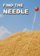 Find The Needle
