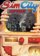 SimCity
